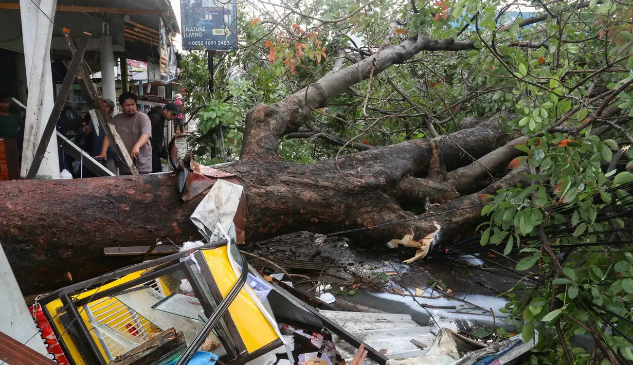 Akibatnya, sejumlah bangunan rumah toko (ruko) yang ada di sekitar mengalami kerusakan akibat tertimpa dahan dan ranting pohon. (merdeka.com/Arie Basuki)
