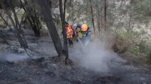 Karhutla Gunung Bromo Capai 550 Hektare