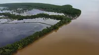 Tanaman mangrove bisa menjadi filter bagi tambak warga di Delta Mahakam.