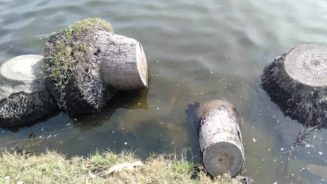 Laguna alami Tiku, Agam. (Liputan6.com/ ist)