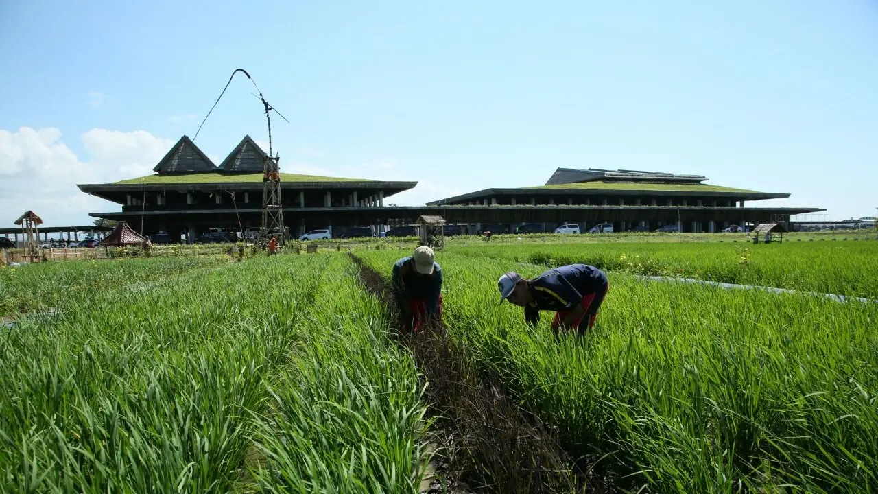 Bandara Banyuwangi yang dirancang aristiek andarmatin. (Istimewa)