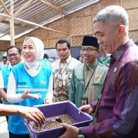 Budi Daya Maggot di Mataram, Solusi Masalah Sampah Jadi Bernilai