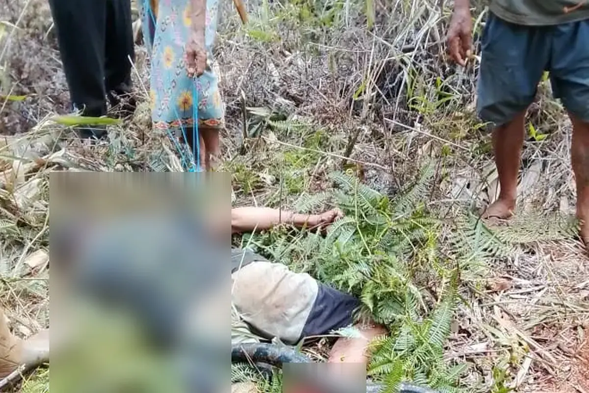 Seorang petani bernama Nurdin (57) di Kabupaten Luwu Timur (Lutim), Sulawesi Selatan, ditemukan meninggal dunia usai diserang ular piton saat pulang dari kebun (Istimewa)