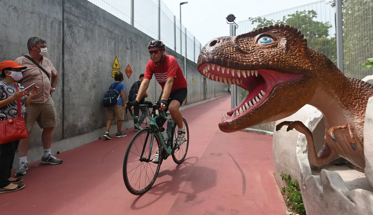 Pengendara sepeda bersepeda di sepanjang "Changi Jurassic Mile" jalur rekreasi dengan jajaran model dinosaurus seukuran aslinya di Singapura (13/10/2020). Atraksi rekreasi baru dengan pameran dinosaurus yang menghubungkan terminal Bandara Changi 4 dan taman East Coast. (AFP/Roslan Rahman)