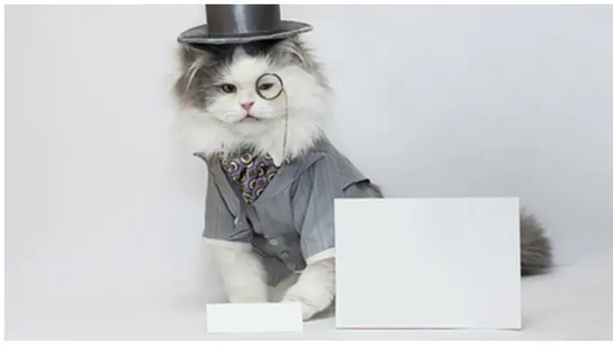 courtesy of shutterstock