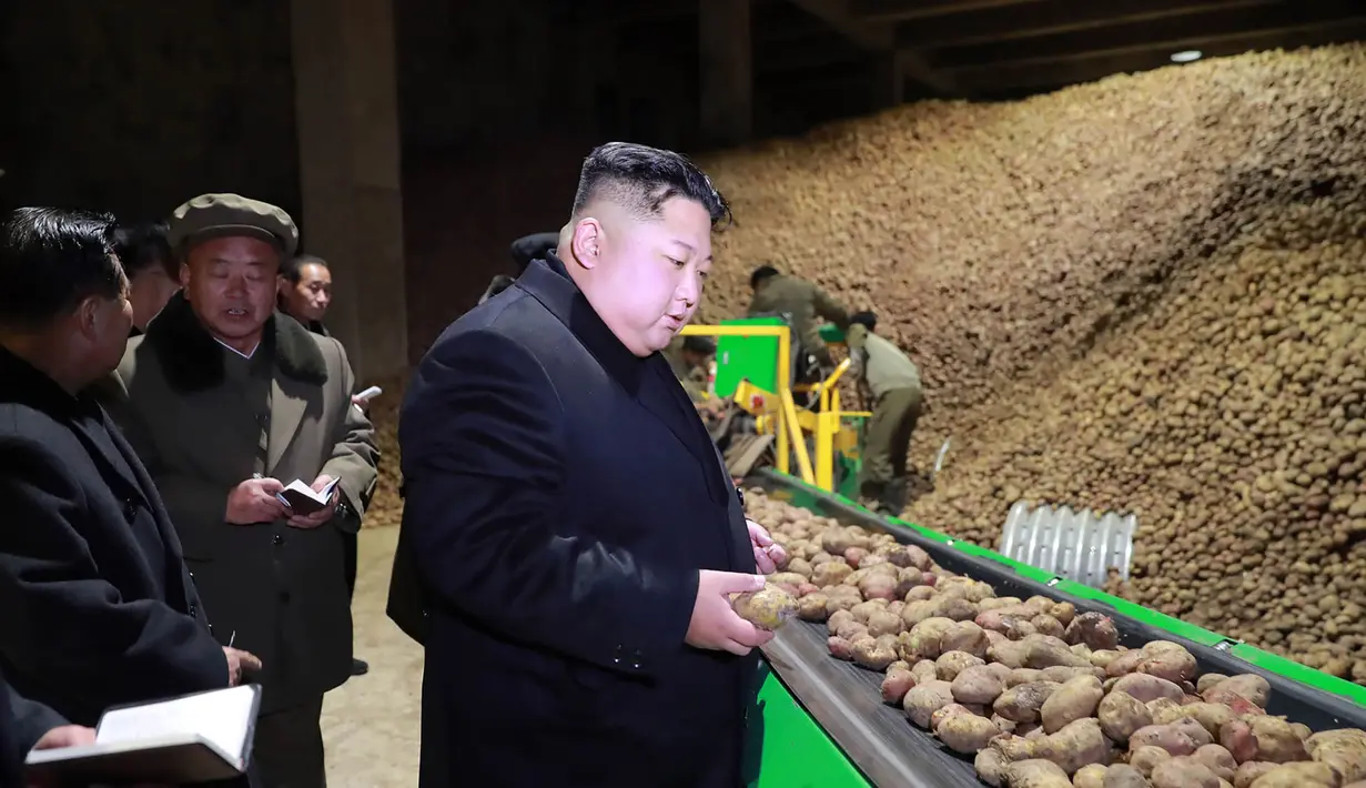 Pemimpin Korea Utara Kim Jong-Un melihat kentang saat mengunjungi pabrik produksi Samjiyon Potato Farina di Samjiyon County (30/10). (Photo by KCNA VIA KNS / KCNA VIA KNS / AFP)