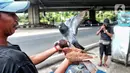 Pembeli memilih burung merpati balap di kawasan Petukangan, Jakarta Selatan, Kamis (21/7/2022). Burung merpati balap yang dijual dengan harga Rp 130 ribu hingga Rp 150 ribu per pasang tersebut banyak digandrungi masyarakat untuk diikutkan dalam kontes balap burung. (Liputan6.com/Angga Yuniar)