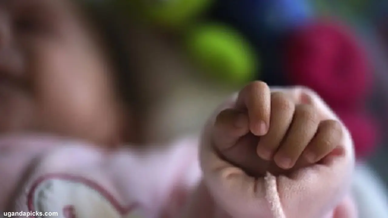 bayi-dilempar130828c.jpg