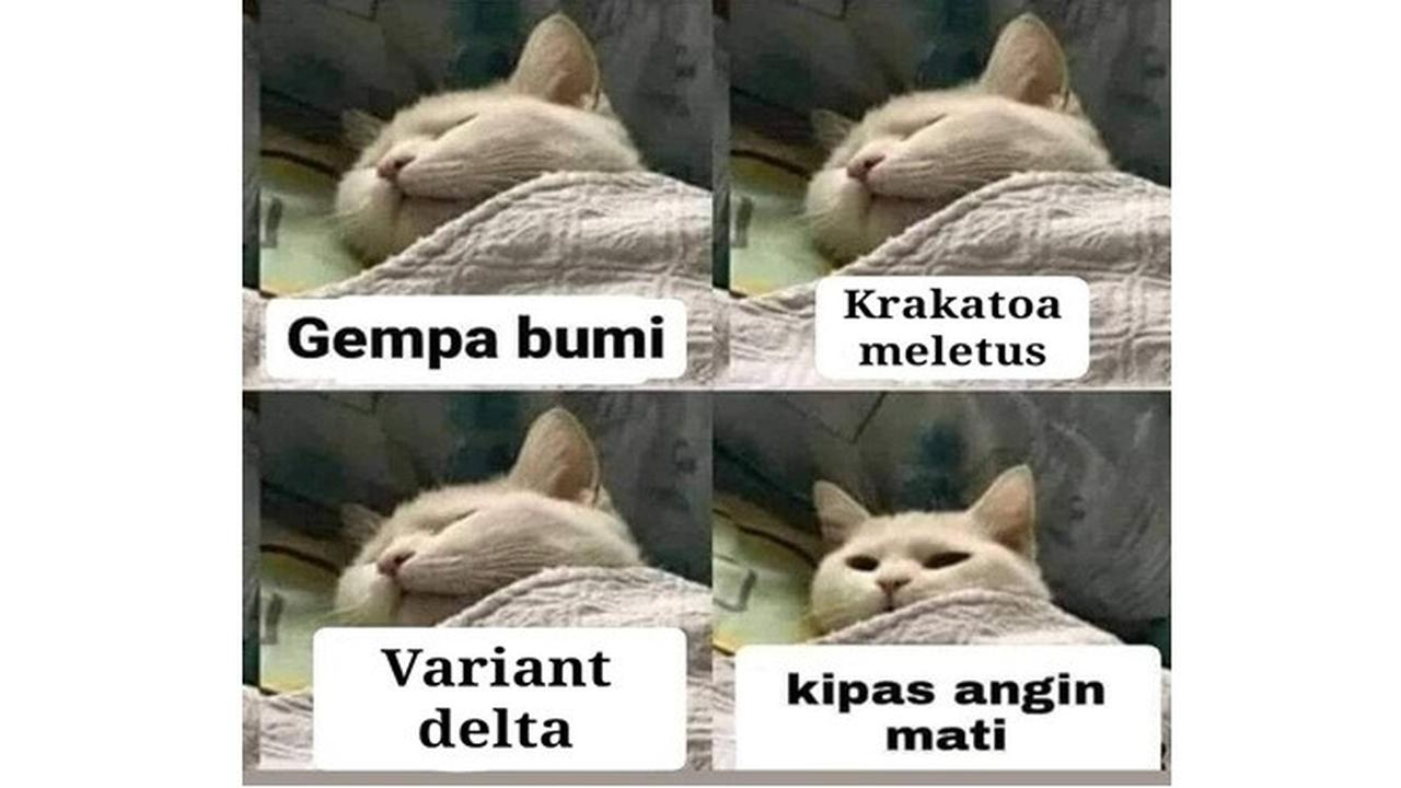 7 Meme Cara Bangun Mendadak dari Tidur, Bikin Ikut Mengangguk