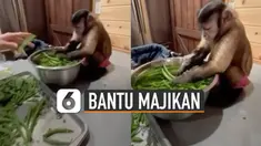 Sepanjang memotong buncis, ia menunjukkan ekspresi gemas.