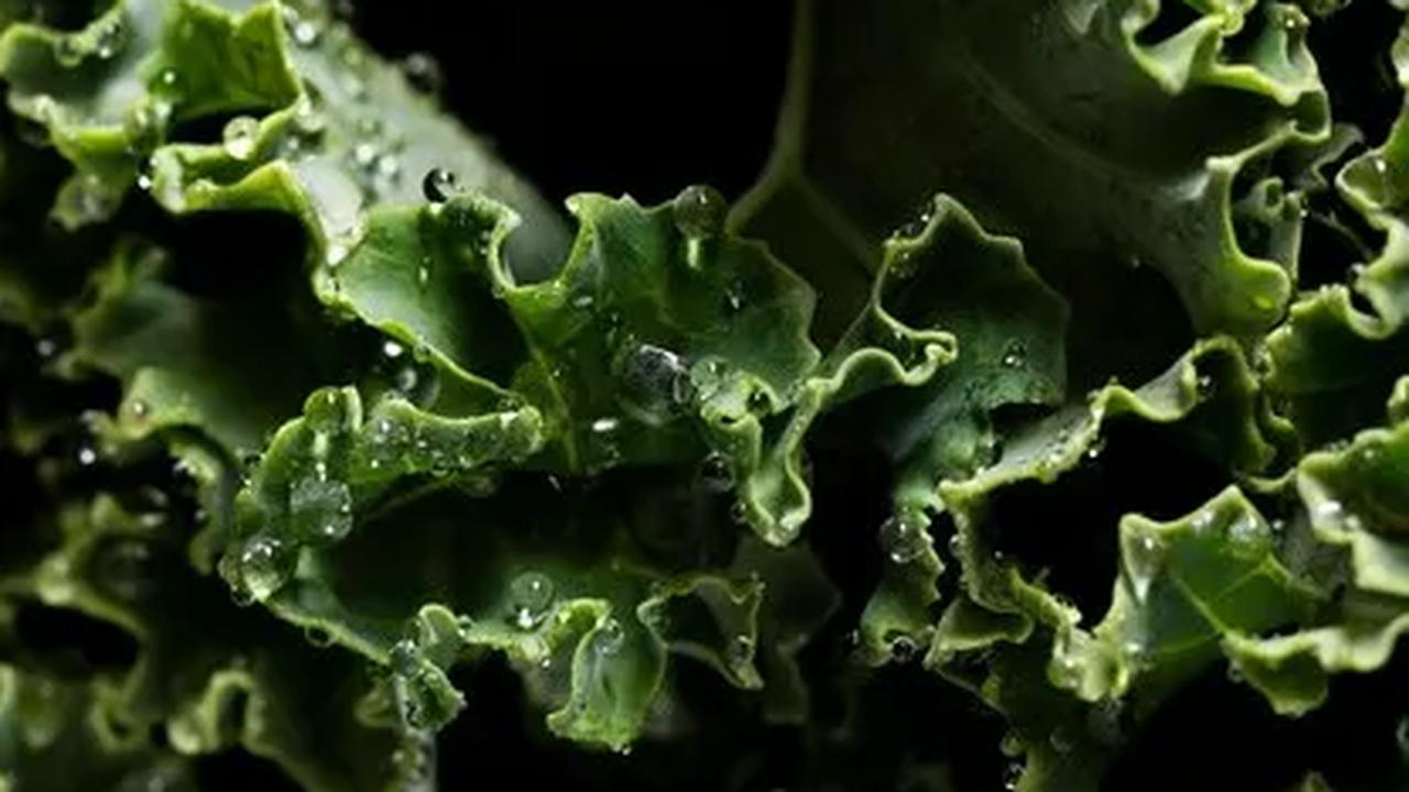 3. Kale: Keajaiban Nutrisi untuk Otak yang Jarang Diketahui<br>