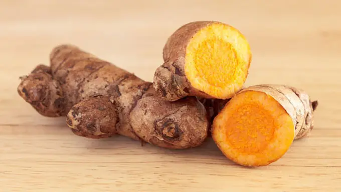 copyright by Shutterstock.com