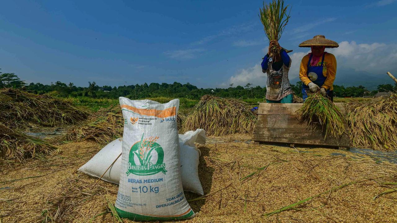 FOTO: Serapan Gabah Bulog Meningkat Perkuat Ketahanan Pangan Nasional