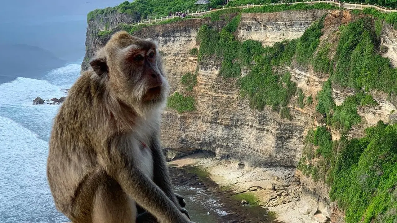 Pura UIuwatu