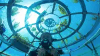 Nemo's Garden adalah sistem budidaya bawah laut pertama di dunia untuk tanaman terestrial. (Sumber: OceanReefGroup)