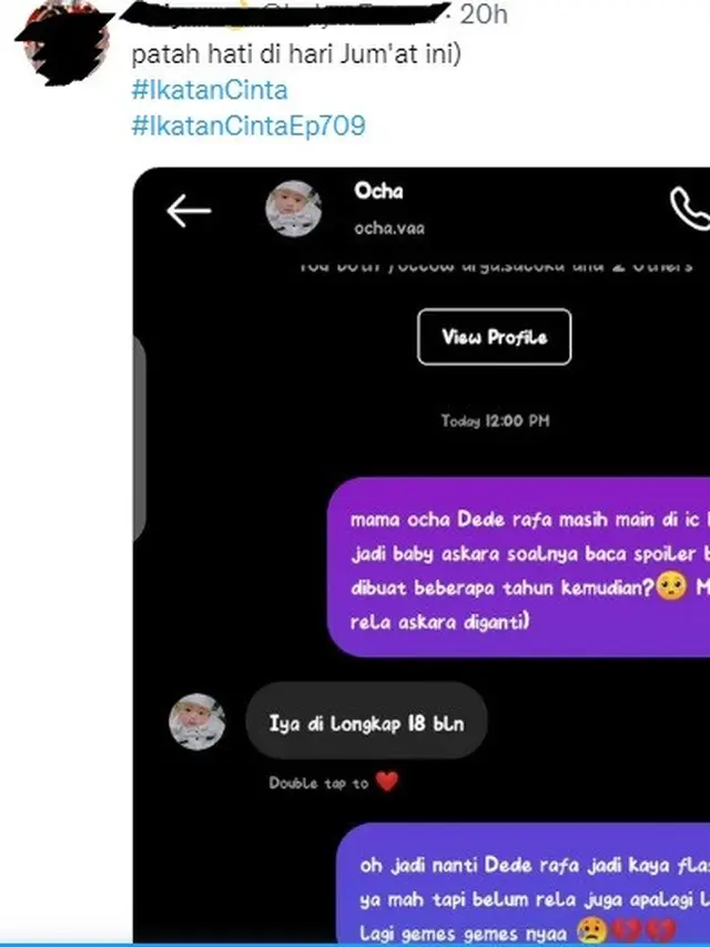 Tangkapan layar diduga ibu kandung Raffsyah beredar di media sosial Twitter