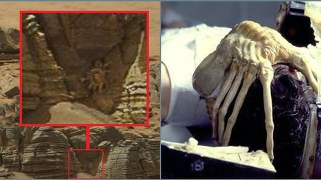 Kepiting misterius mirip alien terlihat di Mars