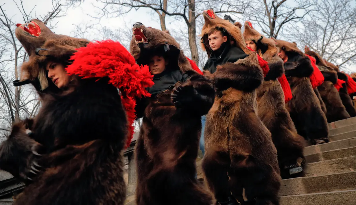 Sejumlah remaja mengenakan kostum beruang menari selama ritual tahunan di Piatra Neamt, Rumania Utara (28/12). Para peserta mengenakan kostum beruang untuk menangkal kejahatan di Tahun Baru. (AP Photo/Vadim Ghirda)
