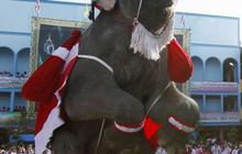 Gajah berkostum Santa Claus hibur para siswa di Bangkok