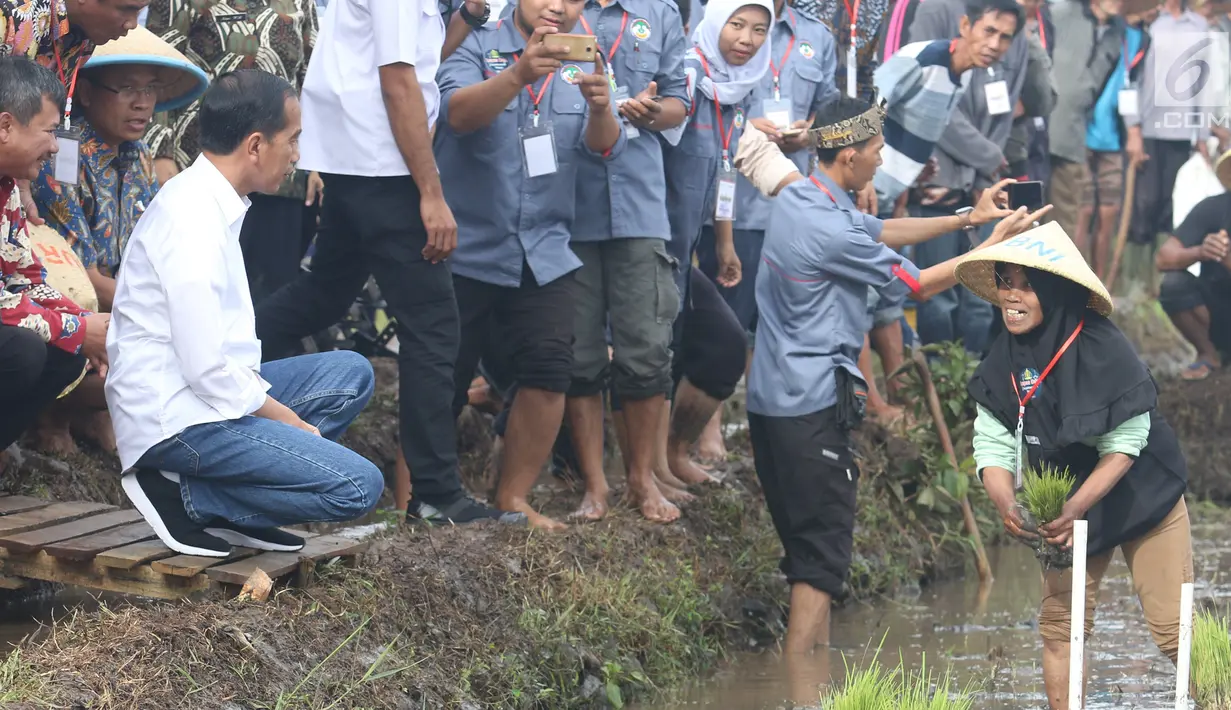 Presiden Joko Widodo berbincang dengan petani di pinggir sawah, di Desa Cisaat, Leuwigoong, Garut, Sabtu (19/1). Kunjungan tersebut untuk meninjau Gerakan Mengawal Musim Tanam Oktober-Maret 2017/2019dan Kewirausahaan Pertanian. (Liputan6.com/Angga Yuniar)