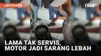 Apa yang anda pikirkan bila motor lama tak terawat?
Tentu akan ada kerusakan mesin dan kotor. Namun yang terjadi pada motor wanita ini di luar dugaan.