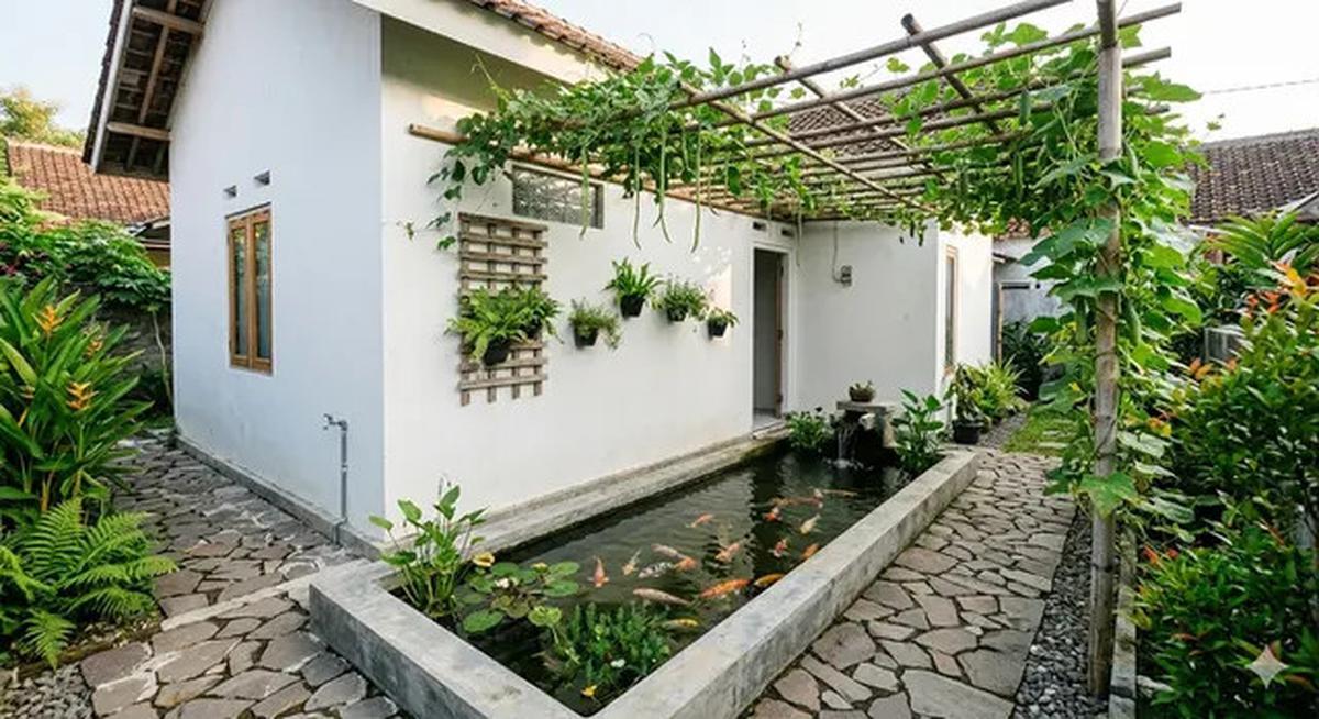 5 Inspirasi Model Kolam Ikan Memanjang di Samping Rumah Subsidi yang Menenangkan