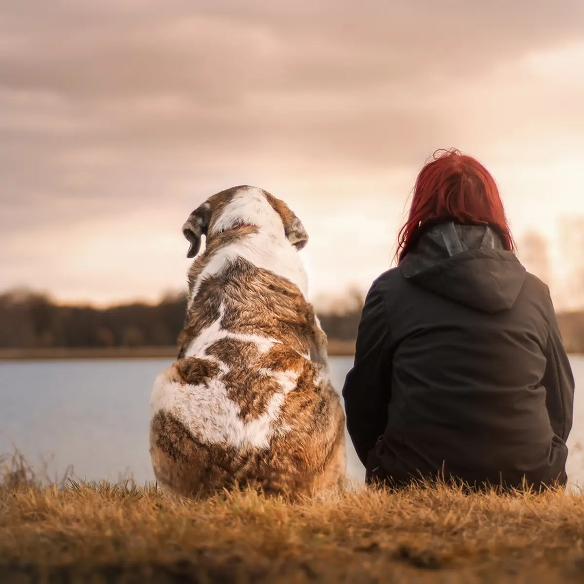 Perempuan Nikahi Anjing Peliharaannya, Mengaku Lebih Bahagia daripada  Bersama Mantan Suami - Lifestyle Liputan6.com