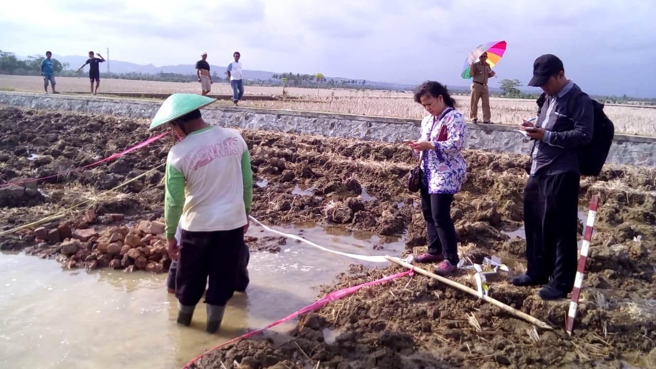 Tim BPCB Jateng-DIY meneliti situs batu bata kuno raksasa di Kalikudi, Cilacap, Jawa Tengah. (Foto: Liputan6.com/Kunthang Sunardi/Muhamad Ridlo)