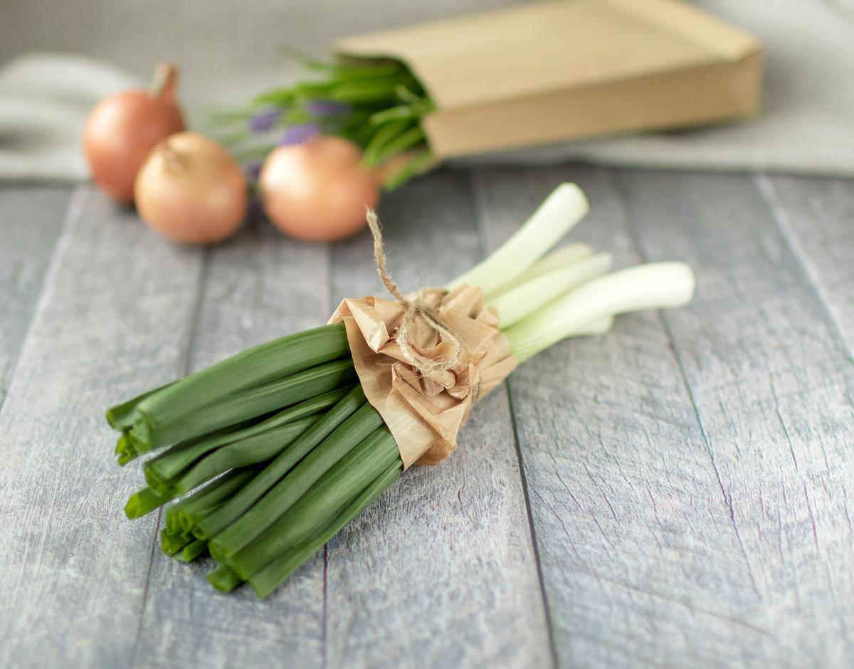 Daun Bawang Prei