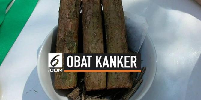 VIDEO: Pelajar Suku Dayak Disebut Temukan Obat Kanker