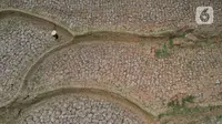 Foto udara kondisi sawah yang kekeringan di Desa Ridogalih, Cibarusah, Kabupaten Bekasi, Jawa Barat, Rabu (1/11/2023). (Liputan6.com/Herman Zakharia)