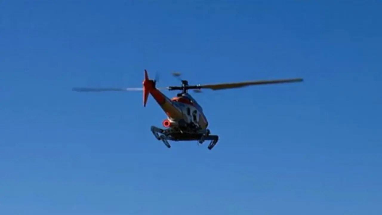 helikopter serangga
