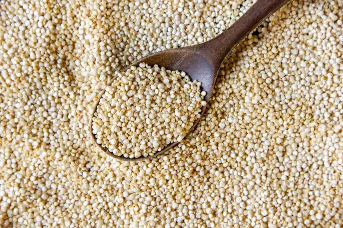 Cara Merebus Quinoa untuk Bantu Jaga Kesehatan Jantung dan Gula Darah, Perhatikan Durasi Memasaknya