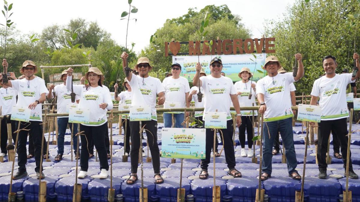 Aksi Nyata PLN Jaga Bumi, 5.000 Mangrove Ditanam di Hutan Lindung Angke Kapuk