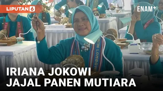 Iriana Jokowi Panen Mutiara dan Lepas Tukik di Lombok