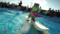 Unjuk kebolehan si bajing direkam menggunakan kamera GoPro yang ditempelkan di belakang perahu kecil yang menariknya.