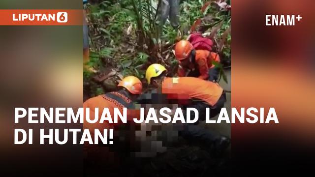 Geger! Penemuan Jasad Nenek-nenek di Hutan