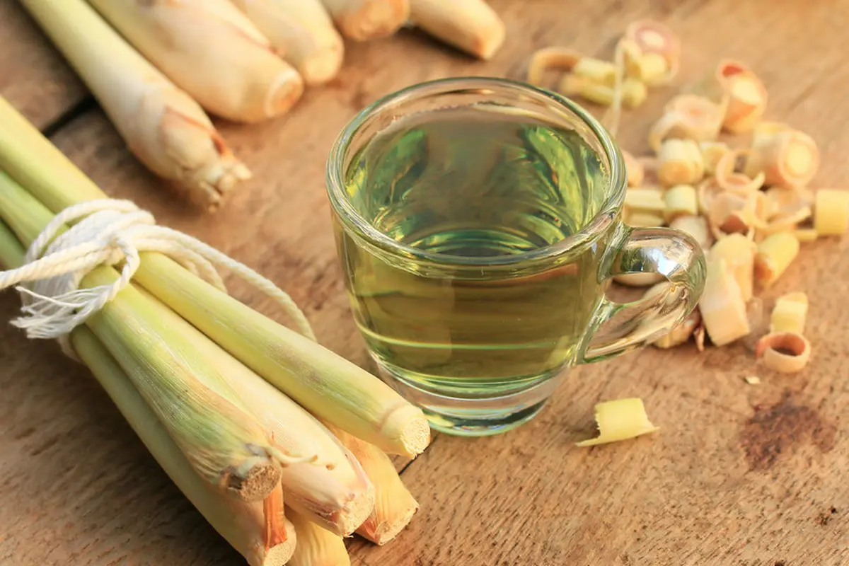 rebusan minuman serai kemangi
