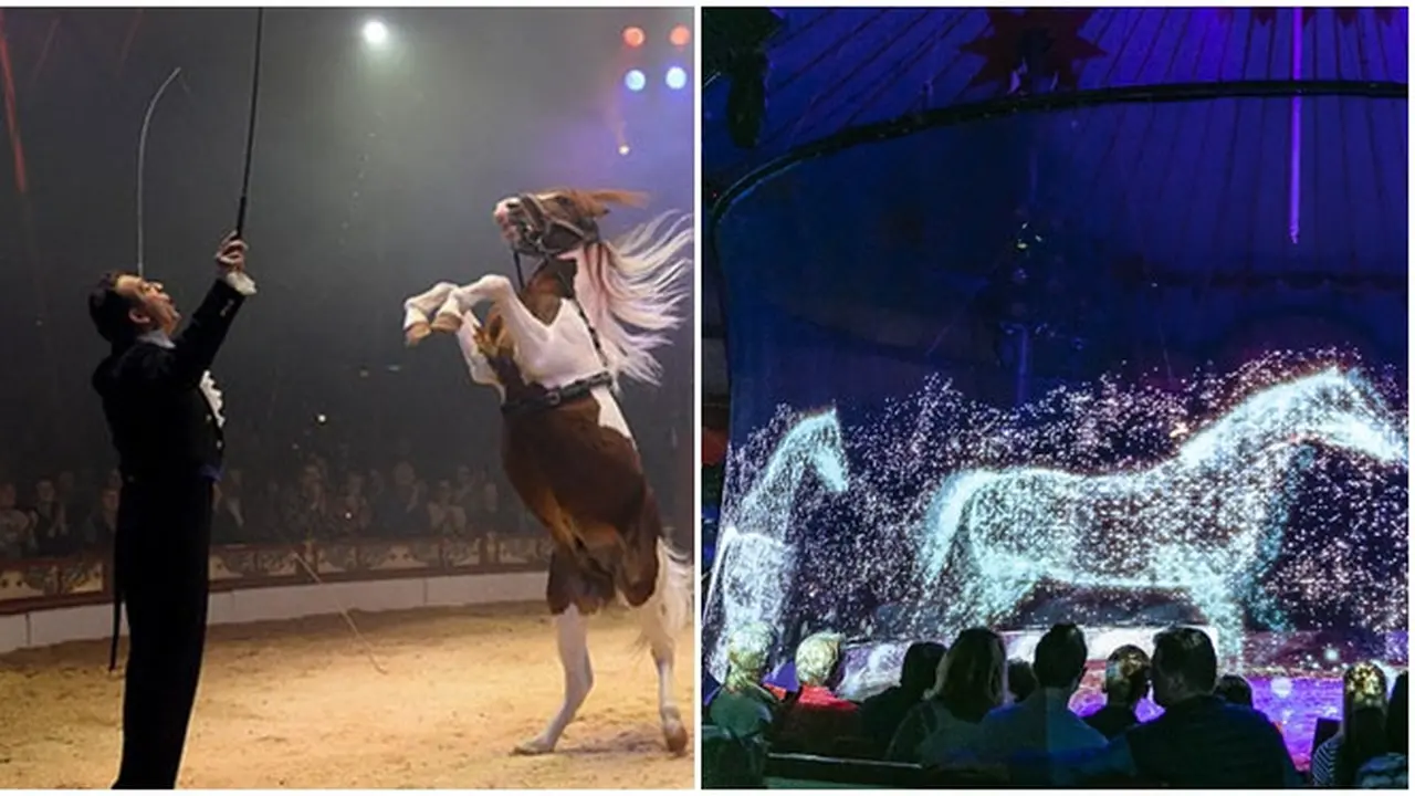 Tak Gunakan Hewan, Sirkus Ini Hadirkan Hewan Hologram yang Pukau Penonton