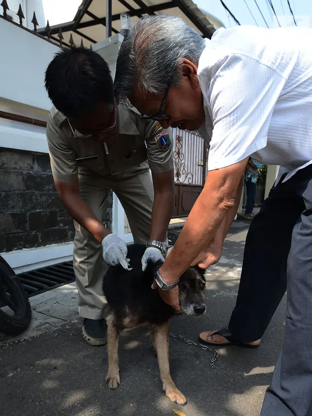 Pemkot Jaktim Gelar Vaksin Rabies