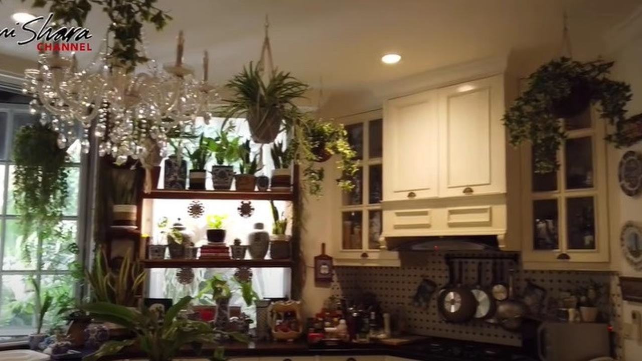 Bertema Jungle House, 8 Potret Dapur Yuni Shara yang Vintage dengan Banyak Tanaman dan Keramik