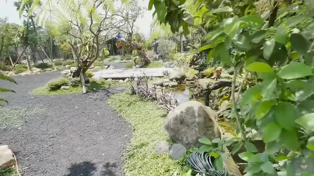 Model Kolam di Taman Rumah Soimah yang Luas Banget, Asri dengan Detail Artistik