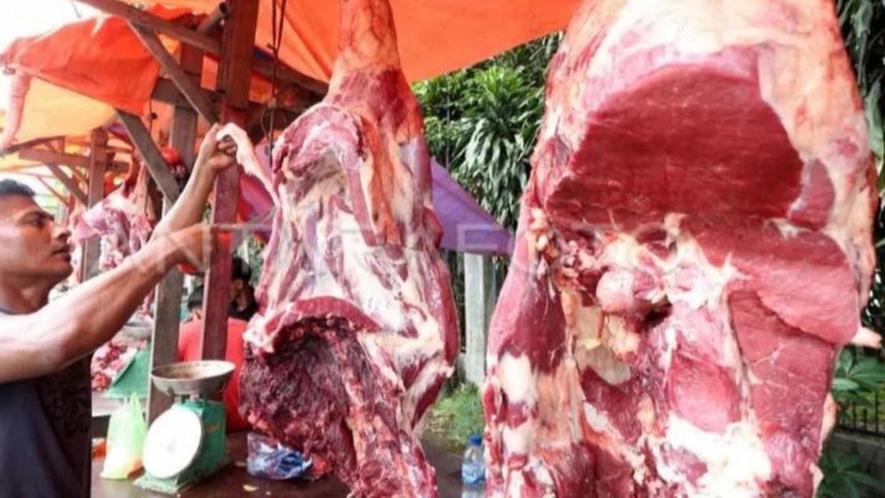 Jelang Iduladha, Dharma Jaya Impor Ratusan Sapi Australia Demi Stabilisasi Harga di Jakarta