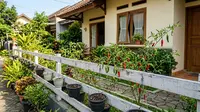 Cara Membuat Kebun Cabai Mini (AI Generated)
