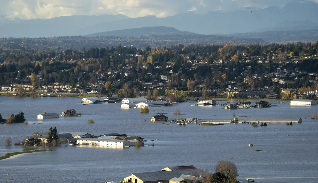 Properti yang terendam banjir terlihat di Abbotsford, British Columbia, Kanada, Selasa (16/11/2021).  Banjir membuat jalan raya pelabuhan terputus hingga menjebak penumpang selama berhari-hari. (Jonathan Hayward/The Canadian Press via AP)