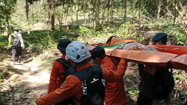 Proses evakuasi nenek asal Dusun Rambakulu Harapan, Desa Torpedo Jaya, Kecamatan Sabbang Selatan, Kabupaten Luwu Utara, yang sempat hilang. (Liputan6.com/Fauzan)