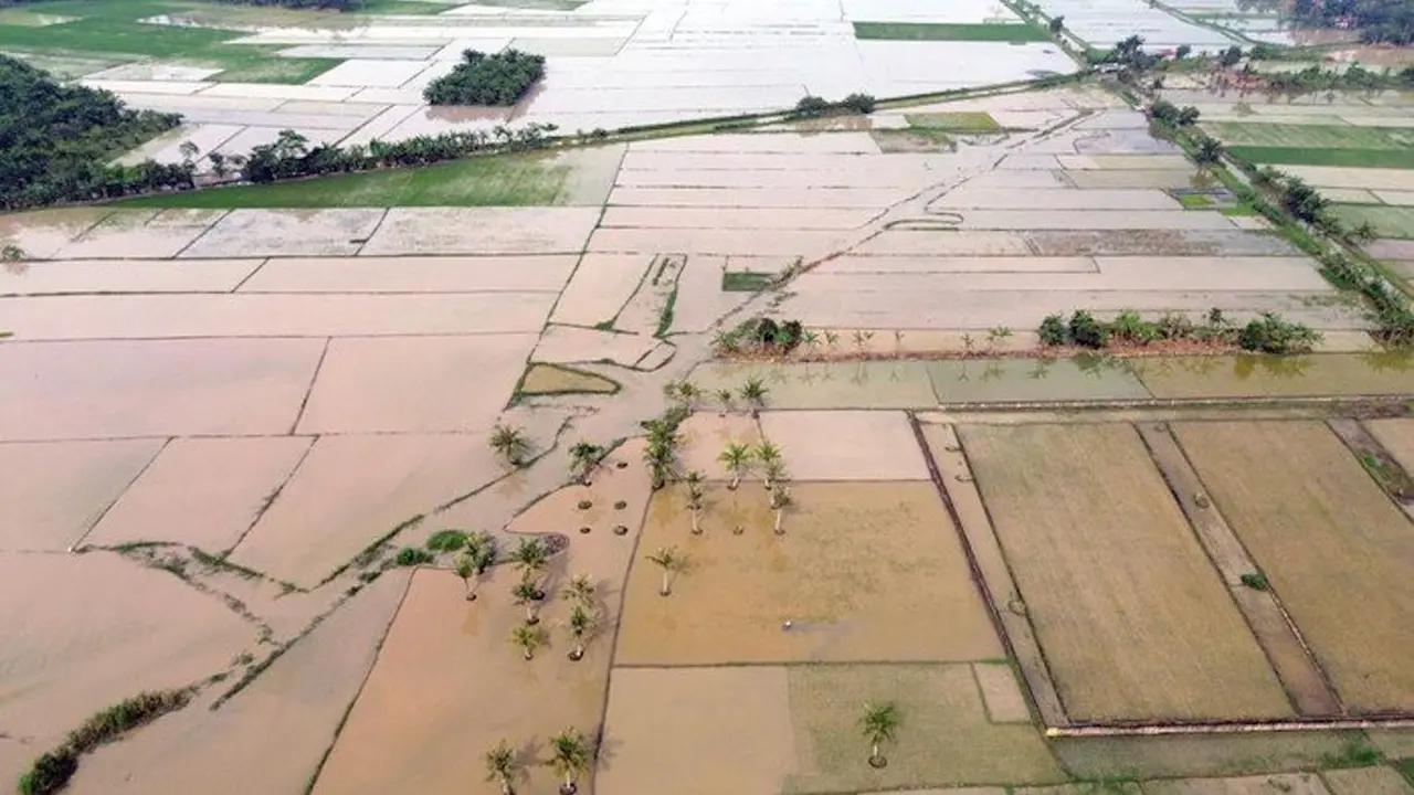 Foto udara sawah terdampak bencana.