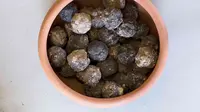 Chogosta, Camilan Tradisional dari Tanah yang Bisa Dimakan