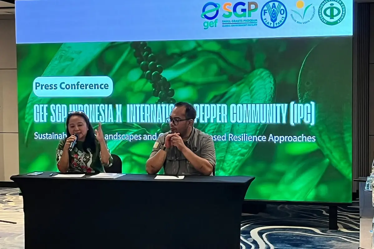 GEF Small Grants Programme (SGP) Indonesia dan International Pepper Community (IPC) berkolaborasi memperkuat sektor lada berkelanjutan di Indonesia. (Foto: Istimewa)