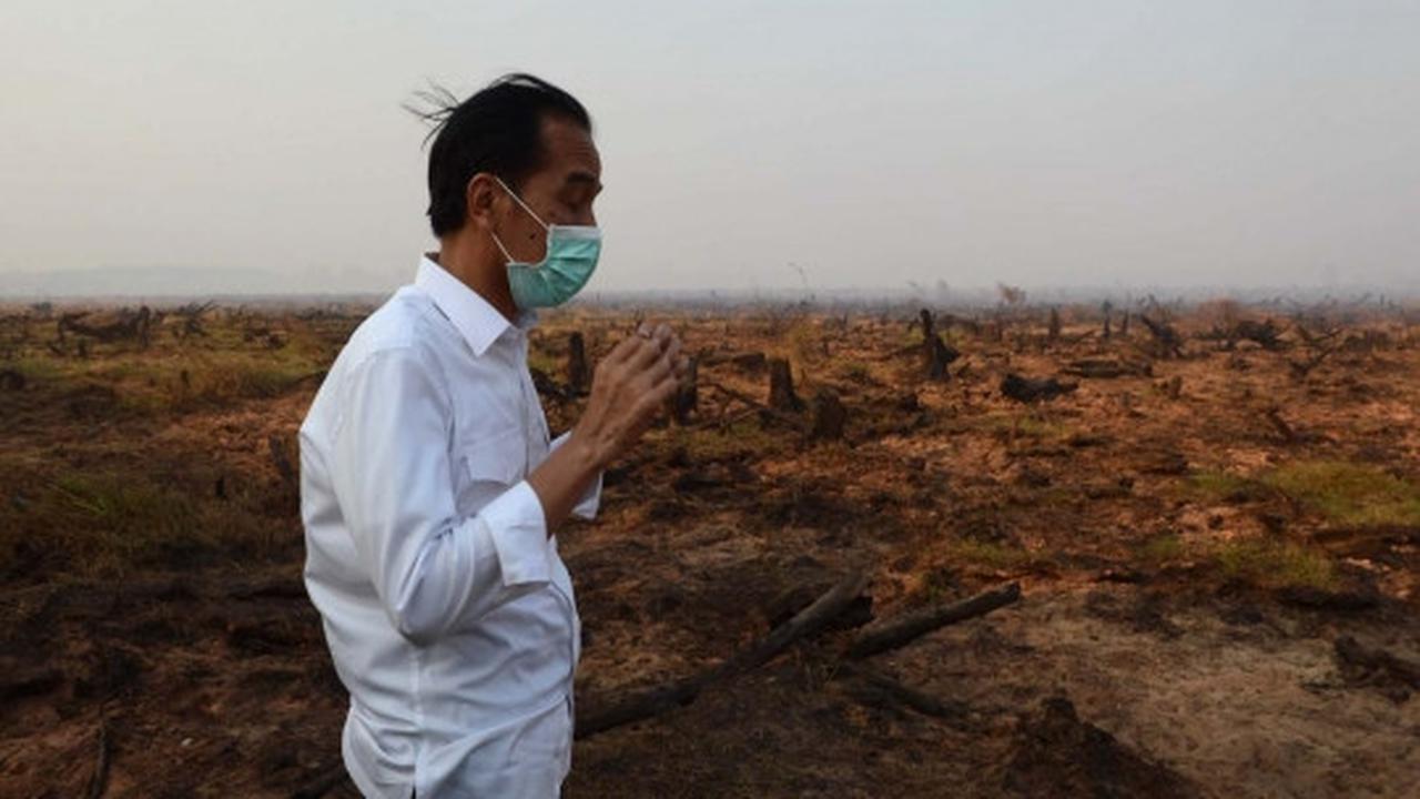 Aksi Jokowi tinjau langsung kebakaran hutan di Kalimantan